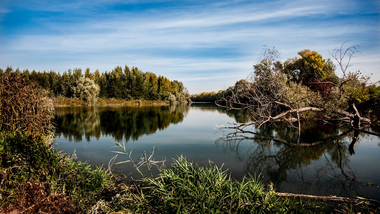 river, trees, fall-972786.jpg
